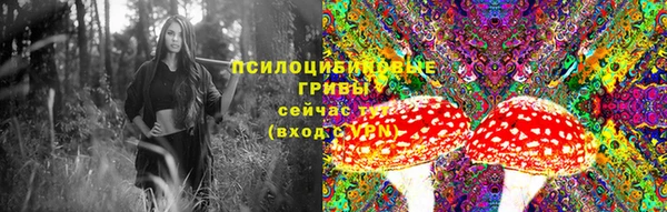 дмт Армянск