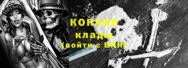 кокс Арсеньев