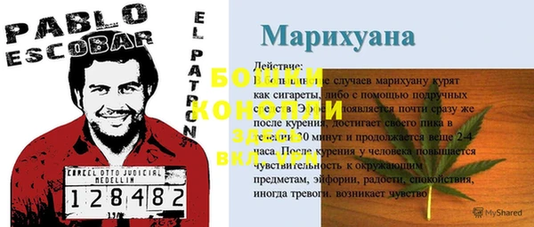 apvp Аркадак