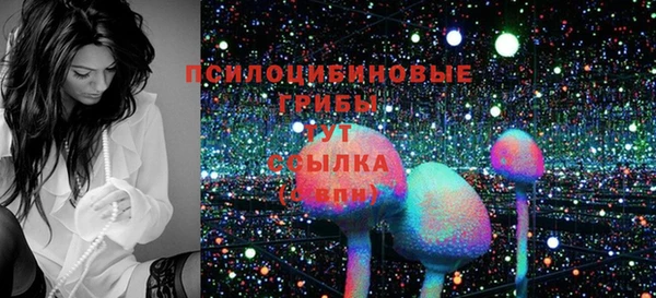 apvp Аркадак