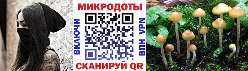 купить наркоту  Приволжск  Псилоцибиновые грибы Cubensis 